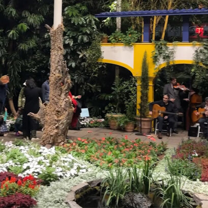 the observatory at New York botantical garden