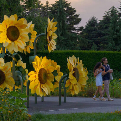 sunflower installation at new york botantical garden