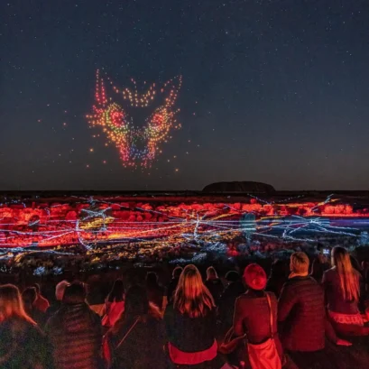 An audience enjoys the drone show