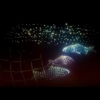 desert dreams drone show, fish in drone art