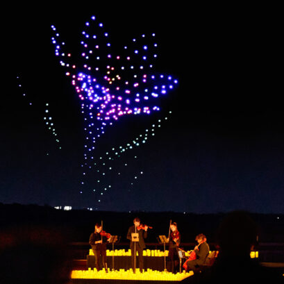 DroneArt Flower in drones behind the orchestra